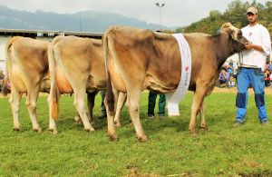 141011Nidwalden 078